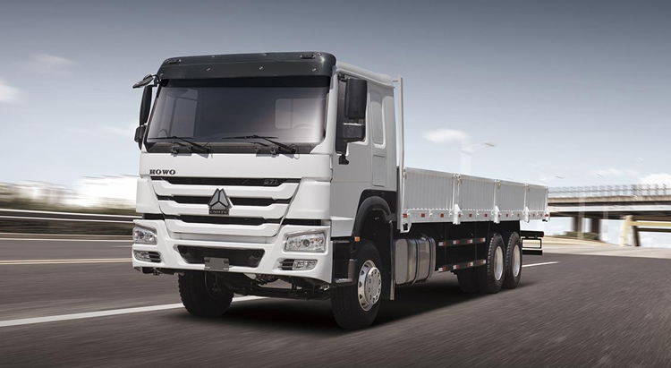 HOWO 6x4 Cargo Truck